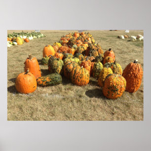 Poster om Fall Pumpkin Sale