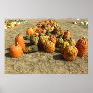Poster om Fall Pumpkin Sale