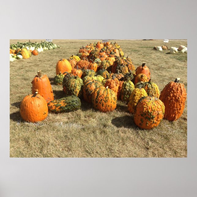 Poster om Fall Pumpkin Sale (Framsidan)