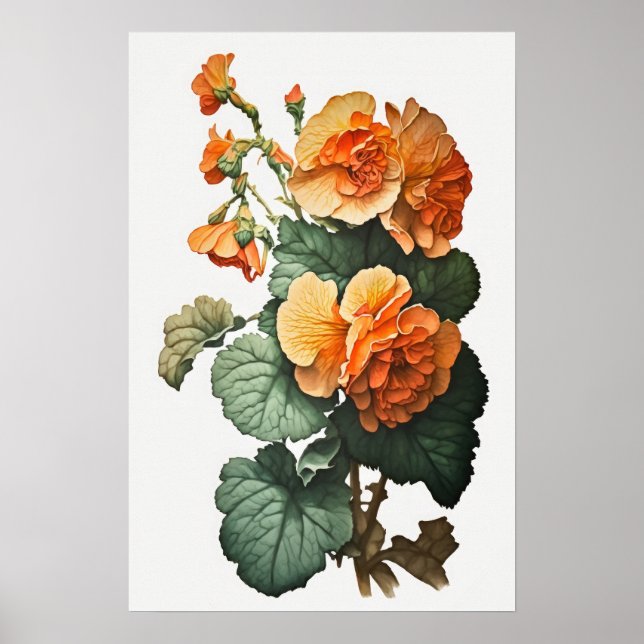 Poster orange Begonias Flower Art-utskrift (Framsidan)