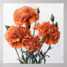 Poster orange Carnations Flower Art Print