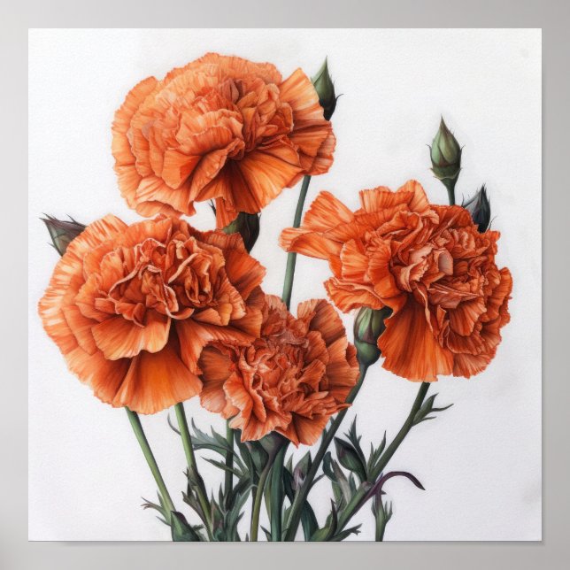 Poster orange Carnations Flower Art Print (Framsidan)