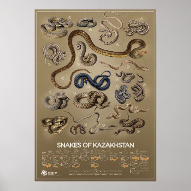 Poster ormar i Kazakstan (Framsidan)