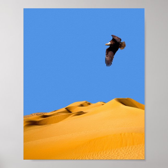 Poster Örn (Framsidan)