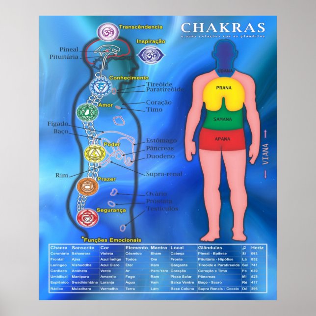 Pôster Os Chakras e suas ligações Poster (Framsidan)