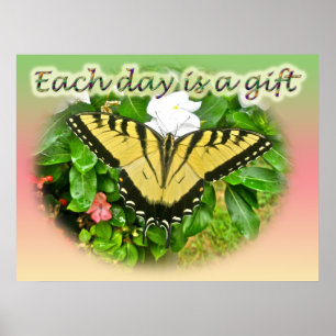 Poster Östra Tiger Swallowtail Butterfly