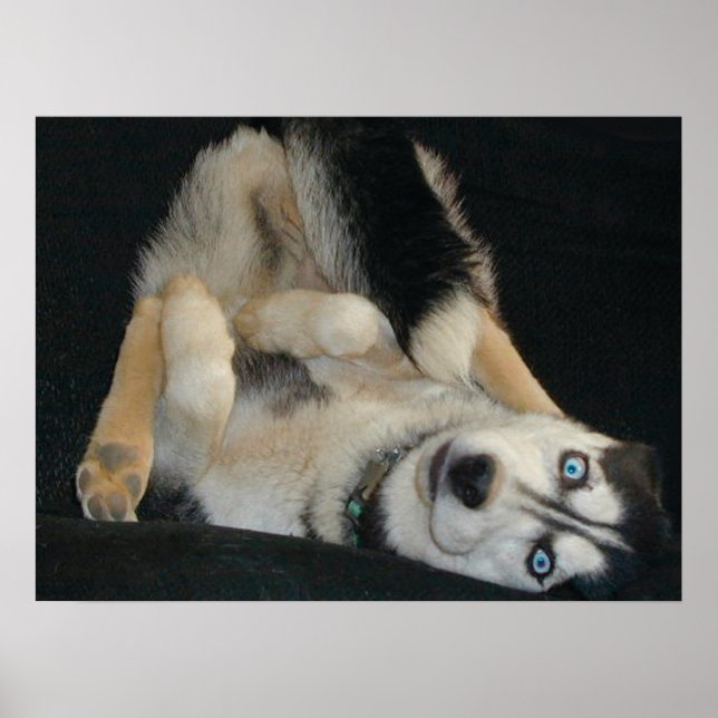 Poster över heltal (Framsidan)