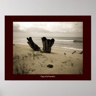 poster på strandscen