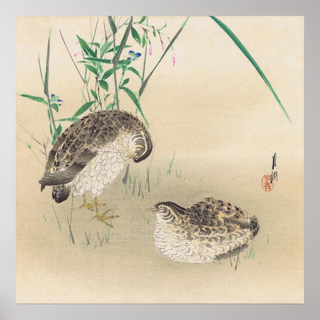 Poster paket med kvail (Framsidan)