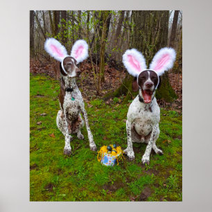 Poster påskägg Hunt och Party Hundar