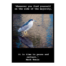 Poster, pausa och reflektera hawaiiskt Vatten Bird