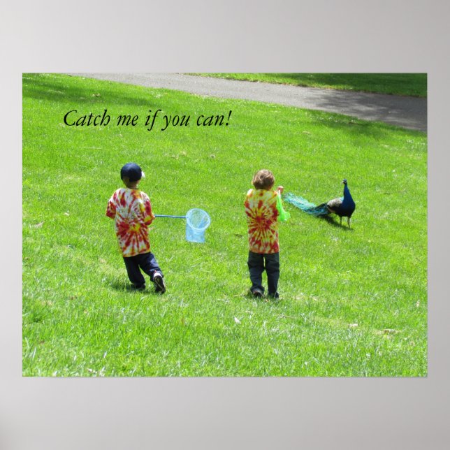 Poster - Peacock Hunters (Framsidan)