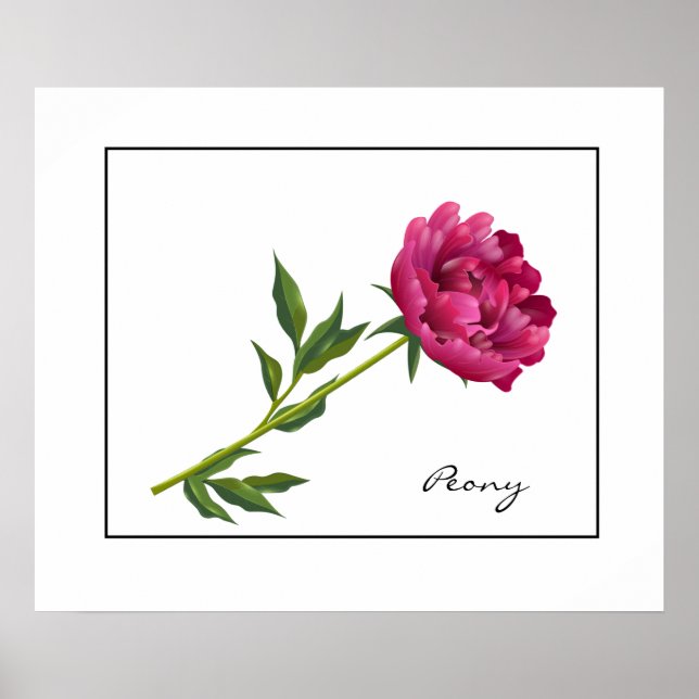 Poster-Peony Poster (Framsidan)