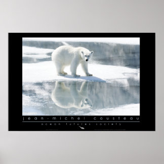 Poster polar Bear