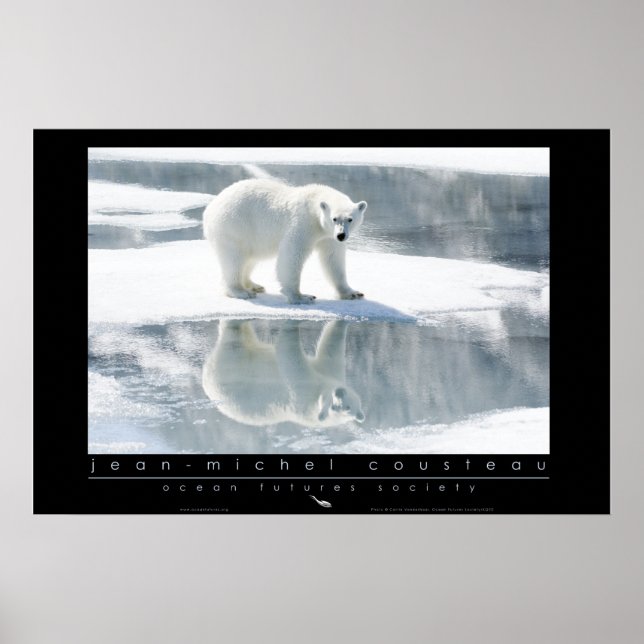Poster polar Bear (Framsidan)