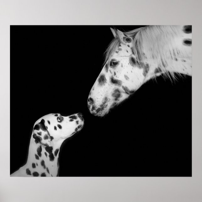 Poster prickad (Framsidan)