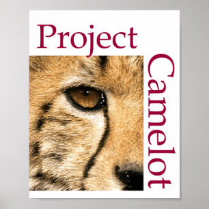 POSTER PROJEKTKAMELOT