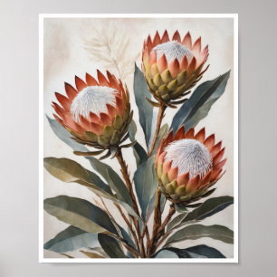 Poster Protea Flowers Painting Wall Art Room Decor