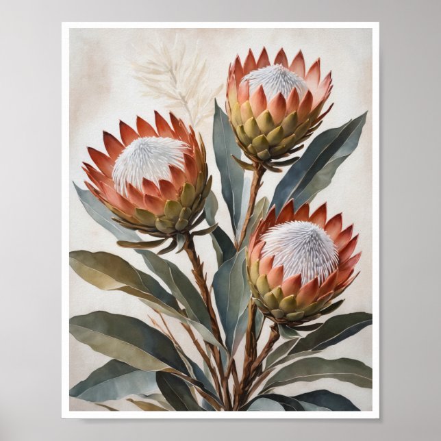 Poster Protea Flowers Painting Wall Art Room Decor (Framsidan)