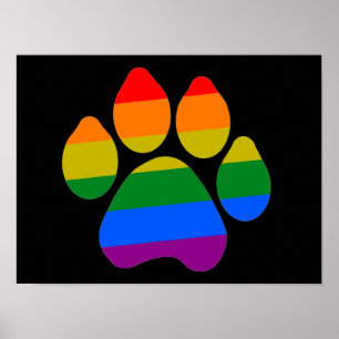 Poster Rainbow Tassar