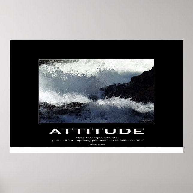 Poster Rapids natur Motivational Photo (Framsidan)