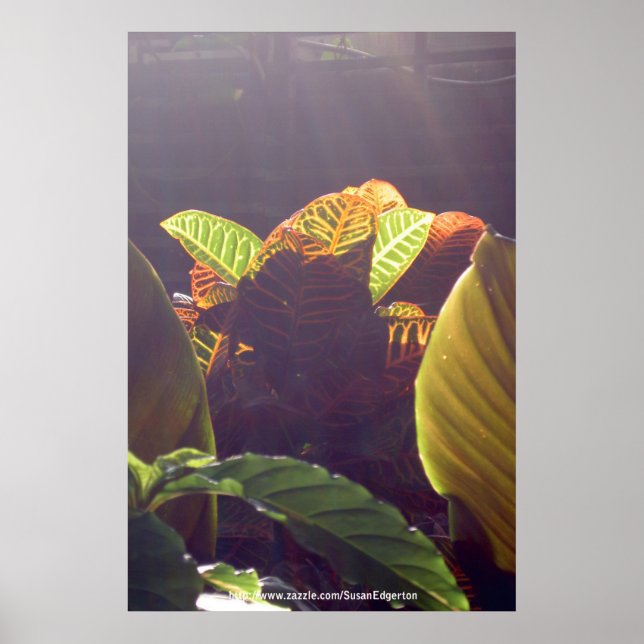 Poster raster (Framsidan)