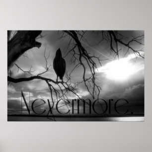 Poster Raven - Icke desto fler solstrålar Träd B&W