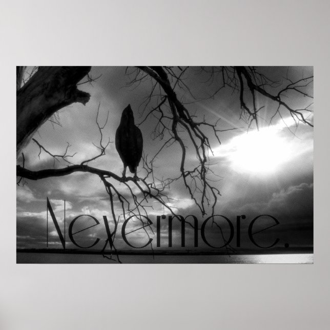 Poster Raven - Icke desto fler solstrålar Träd B&W (Framsidan)