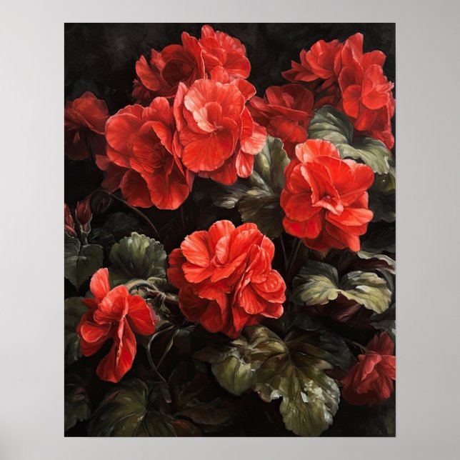 Poster Red Begonia Flowers Art Print (Framsidan)
