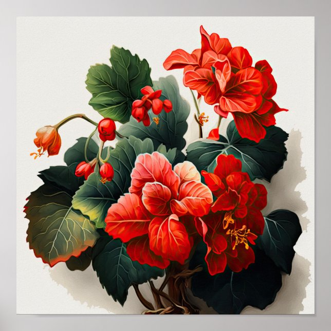 Poster Red Begonias Flower Art-utskrift (Framsidan)