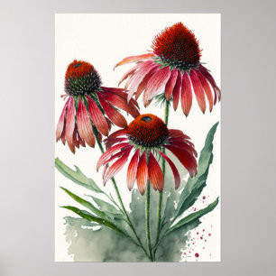 Poster Red Coneflowers Art Print