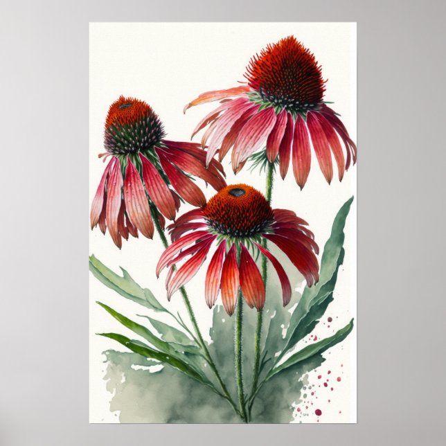 Poster Red Coneflowers Art Print (Framsidan)