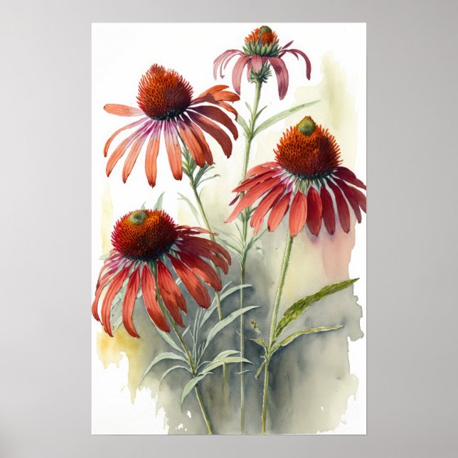 Poster Red Coneflowers Art Print (Framsidan)
