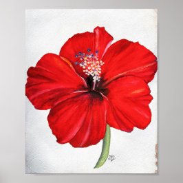 Poster Red Hibiscus Premium Canvas