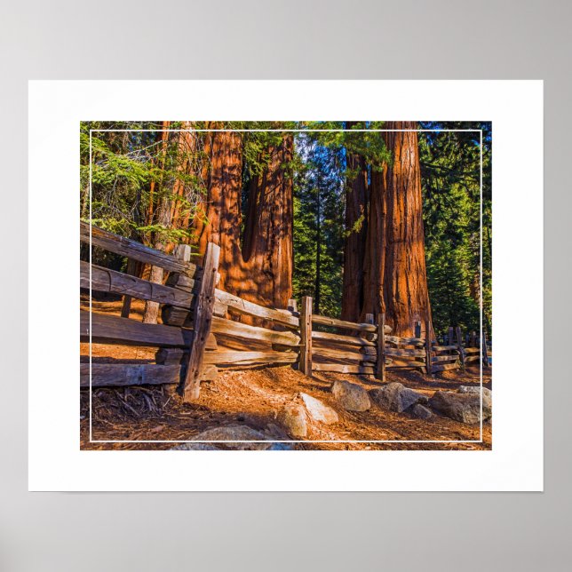 Poster-Redwood Poster (Framsidan)
