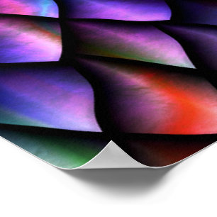 Poster regnbågsskalor