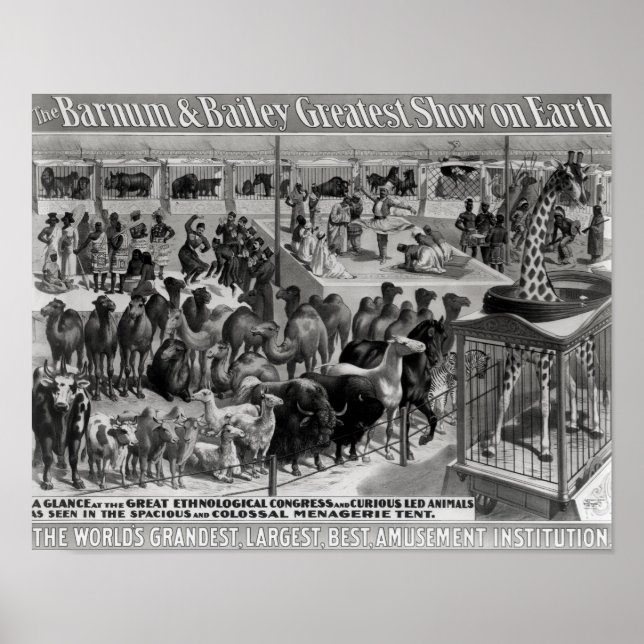 Poster reklam, "Barnum and Bailey" (Framsidan)