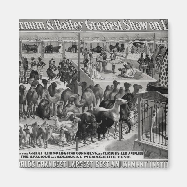 Poster reklam, "Barnum and Bailey" Magnet (Framsidan)