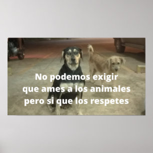 Poster respons på en los-animales