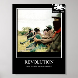poster revolution