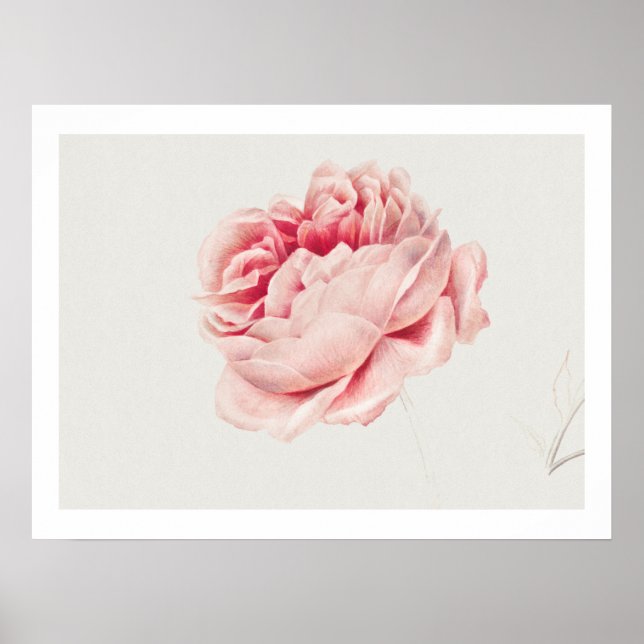 POSTER: RO : GEORGIUS J. JOHANNES VAN OS POSTER (Framsidan)