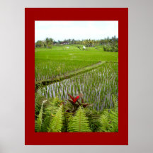 Poster röd (18 x 24 tum) Blommar Ubud Bali