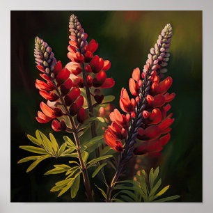 Poster röd lupine Flower Art Print