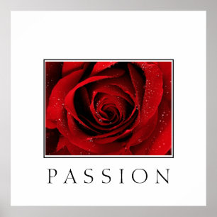 Poster-Röd ros-passion Poster