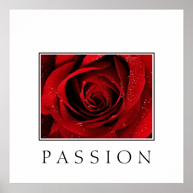 Poster-Röd ros-passion Poster (Framsidan)