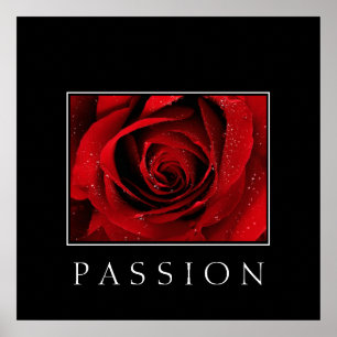 Poster-Röd ros-passion Poster