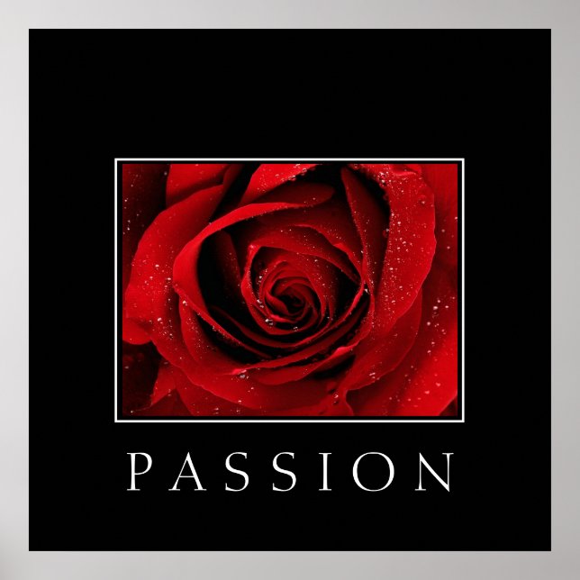 Poster-Röd ros-passion Poster (Framsidan)