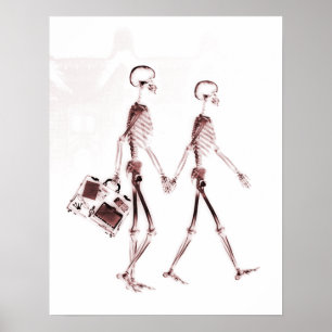 Poster- röntgenstråle Skeleton Couple Traveling Re Poster