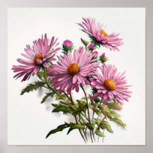 Poster rosa Aster Flower Art-utskrift