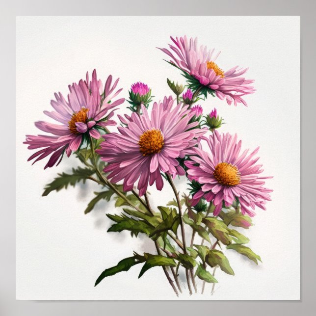 Poster rosa Aster Flower Art-utskrift (Framsidan)
